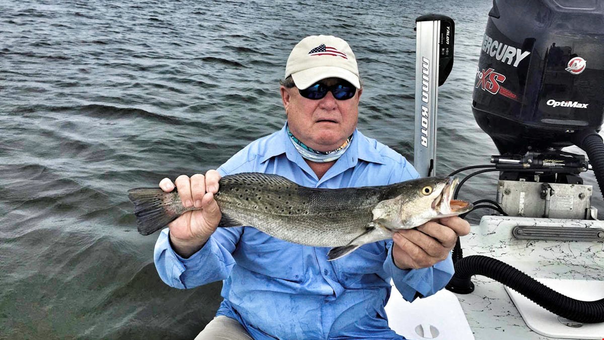 Trout are on fire.