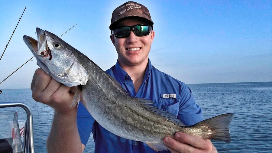 Nice Trout hitting the boards.