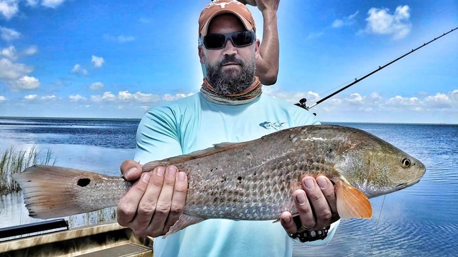 Texas Redfish