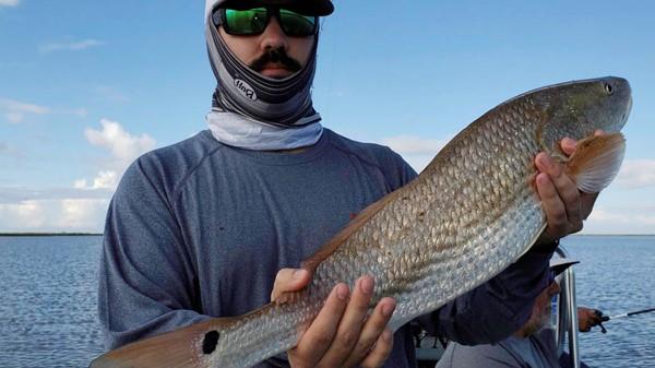 Cooling Rains, Redfish Mania!