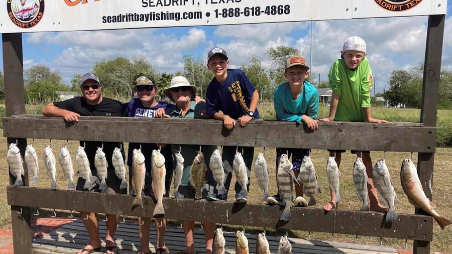 Rattlesnake Invasion / Big Mixed Fish Boxes