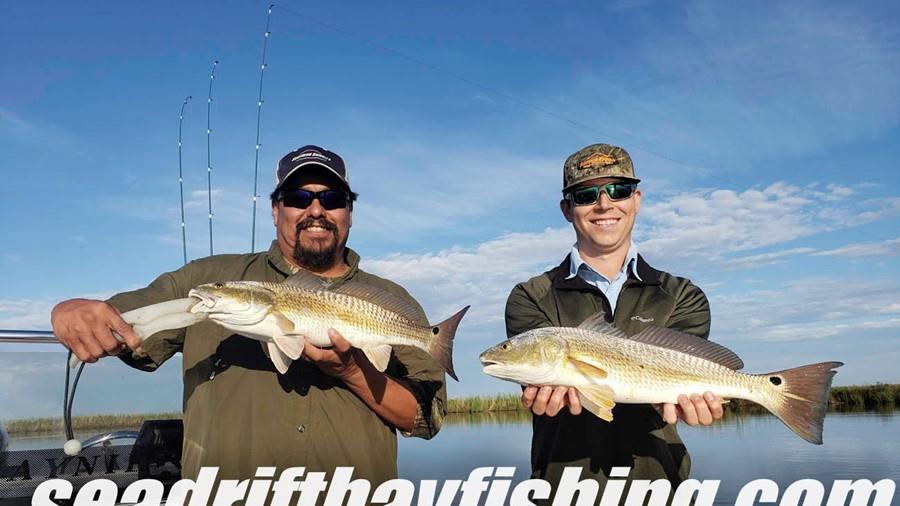 Fall Redfish Action