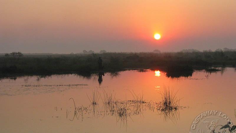 Early Teal Hunting