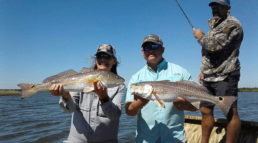 Gator Wrap, Surf to Back Lakes