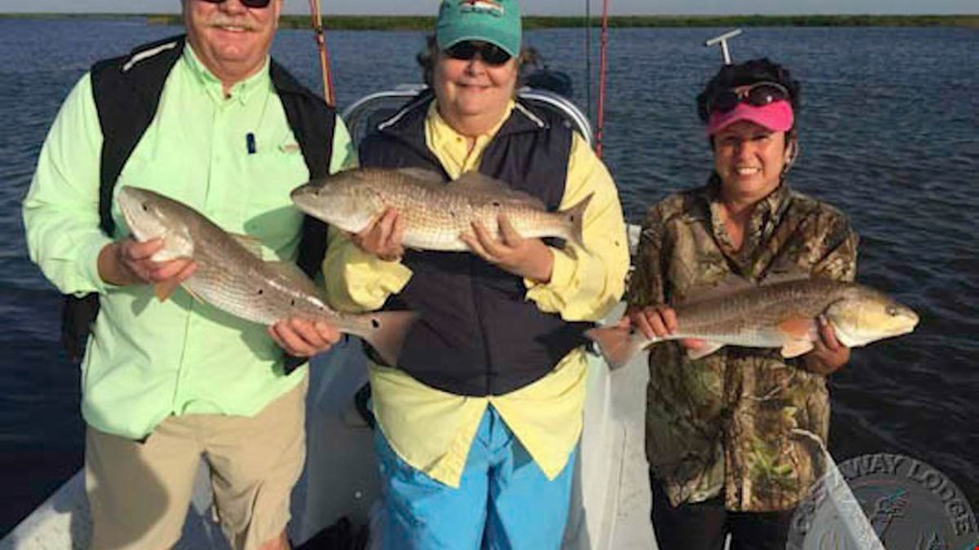 Airboat Redfishing action takes off!