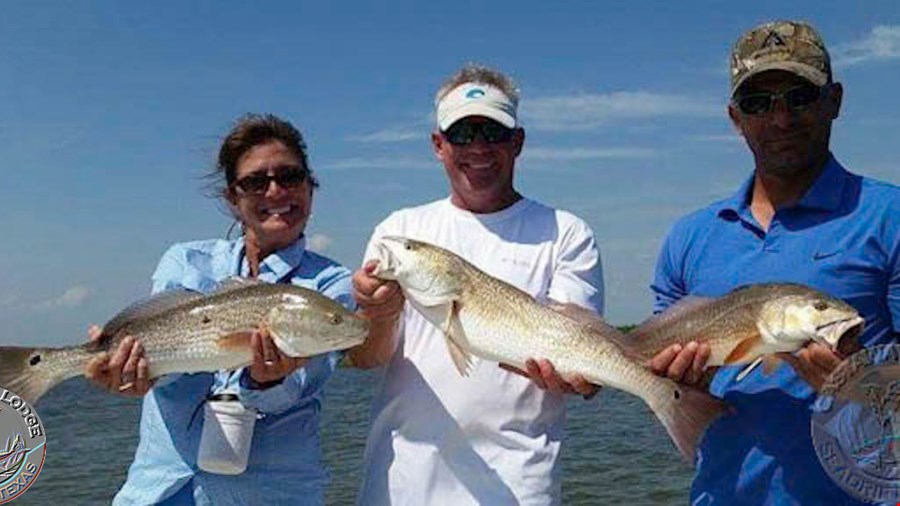 Hot Redfish Action