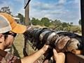 Texas Redhead Hunting