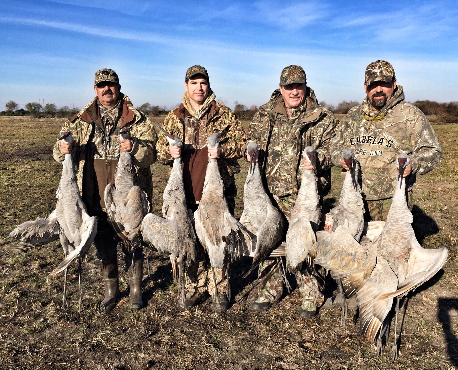 Sandhill Crane/Duck Combo