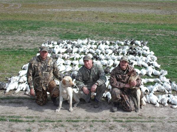 Texas Goose Hunting