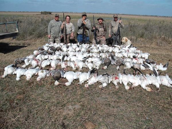 Texas Goose Hunting