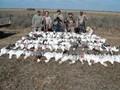 Texas Goose Hunting